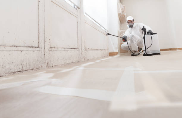 24/7 Emergency Commercial Mold Remediation experts in New Providence, PA
